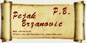 Pejak Brzanović vizit kartica